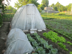 Продается участок Сумская, Сумы, Заречный, ул. Тополянская 126/1 фото 1 Продается участок Сумская, Сумы, Заречный, ул. Тополянская 126/1 фото 1