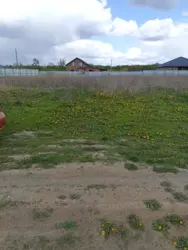 Продается участок 10 км по Конотопській трасі, Степановка, Сумский, Сумская фото 1 Продается участок 10 км по Конотопській трасі, Степановка, Сумский, Сумская фото 1