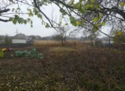 Продается участок Сумская фото 1 Продается участок Сумская фото 1