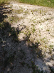 Продается участок Сумская, Сумы, Заречный фото 2 Продается участок Сумская, Сумы, Заречный фото 2