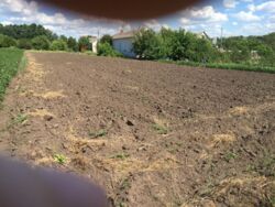 Продается участок Сумская, Сумский, Сад фото 1 Продается участок Сумская, Сумский, Сад фото 1