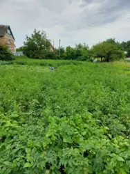 Продается участок Веретенівка, Сумы, Сумская, Ковпаковский фото 1 Продается участок Веретенівка, Сумы, Сумская, Ковпаковский фото 1