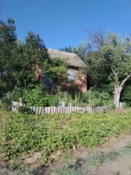 Садовый участок фото 4 Садовый участок фото 4