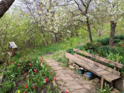 Продается участок Сумская, Сумы фото 5 Продается участок Сумская, Сумы фото 5