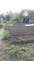 Продается участок Сумская, Сумы, Чистые пруды фото 1 Продается участок Сумская, Сумы, Чистые пруды фото 1