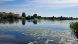 Продается участок Сумская, Сумы, Заречный, за центральним парком , 1-ша лінія р. Псел фото 1 Продается участок Сумская, Сумы, Заречный, за центральним парком , 1-ша лінія р. Псел фото 1