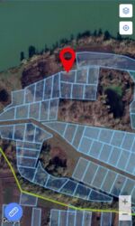 Продается участок Сумская, Сумский, Косовщина фото 1 Продается участок Сумская, Сумский, Косовщина фото 1