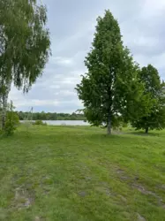 Продается участок Сумская, Сумский, Косовщина фото 2 Продается участок Сумская, Сумский, Косовщина фото 2