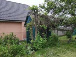 Участок в черте города возле реки, на Луке . фото 1 Участок в черте города возле реки, на Луке . фото 1