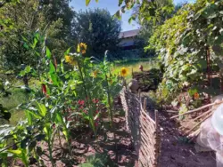 Продается участок Сумская, Сумы, Заречный, за центральним парком , 1-ша лінія р. Псел фото 6 Продается участок Сумская, Сумы, Заречный, за центральним парком , 1-ша лінія р. Псел фото 6