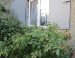 Продается участок Сумская, Сумы, Заречный, ул. Тополянская 126/1 фото 10 Продается участок Сумская, Сумы, Заречный, ул. Тополянская 126/1 фото 10