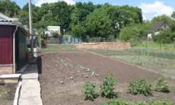 ��������� ������� ��������� / ����������, ����, �������, ������������ ���� 4