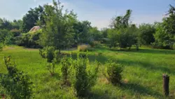 Продается участок Сумская, Сумы, садовод 'Дружба' фото 6 Продается участок Сумская, Сумы, садовод 'Дружба' фото 6