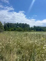 Продается участок Сумская, Сумский, Нижняя Сыроватка фото 2 Продается участок Сумская, Сумский, Нижняя Сыроватка фото 2