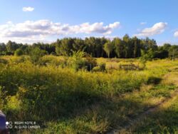 Продается участок Сумская, Сумы, Заречный, Восточная вул. фото 6 Продается участок Сумская, Сумы, Заречный, Восточная вул. фото 6