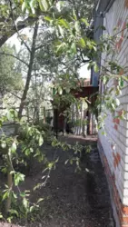 Продается участок Сумская, Сумы, Чистые пруды фото 3 Продается участок Сумская, Сумы, Чистые пруды фото 3