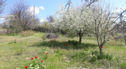 Продается участок Сумская, Сумы, Заречный, Химик фото 11 Продается участок Сумская, Сумы, Заречный, Химик фото 11