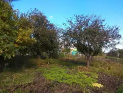 Продается участок Сумская, Сумы, Ганнівка вул Горобинова фото 4 Продается участок Сумская, Сумы, Ганнівка вул Горобинова фото 4