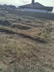 ��������� ������� ��������� ������, ����, �������, ������������ ���� 12