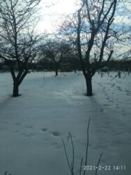 Дачный участок Сахарник фото 2 Дачный участок Сахарник фото 2