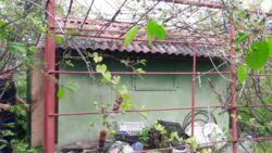 Дача Новоселица Химик 3 фото 5 Дача Новоселица Химик 3 фото 5