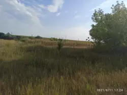 ��������� ������� ���� ������� 48., ������� ���������, �������, ������� ���� 2