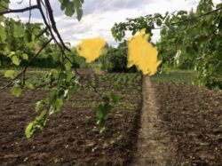 Дача Олдыш фото 5 Дача Олдыш фото 5