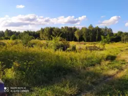 Продается участок Сумская, Сумы, Заречный, р-н Баси, вул. Східна, фото 1 Продается участок Сумская, Сумы, Заречный, р-н Баси, вул. Східна, фото 1