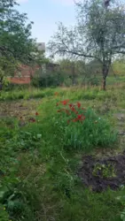 Продается участок Сумская, Сумы, Барановка фото 1 Продается участок Сумская, Сумы, Барановка фото 1