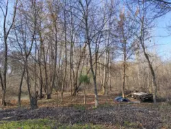 Продается участок Сумская, Сумский, Нижняя Сыроватка, Нижньосироватська с/рада, С/т 'Красносільський', ділянка №858в фото 1 Продается участок Сумская, Сумский, Нижняя Сыроватка, Нижньосироватська с/рада, С/т 'Красносільський', ділянка №858в фото 1