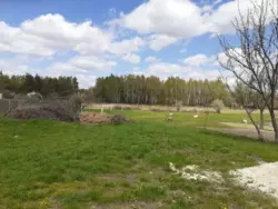 Продается участок Сумская, Сумы, Заречный, пров. 2-й Восточний Баси, 36 фото 2 Продается участок Сумская, Сумы, Заречный, пров. 2-й Восточний Баси, 36 фото 2