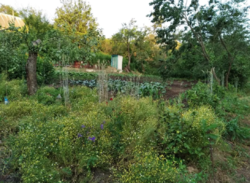 Продается участок Сумская, Сумы фото 17 Продается участок Сумская, Сумы фото 17