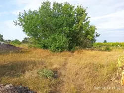 ��������� ������� ���� ������� 48., ������� ���������, �������, ������� ���� 1