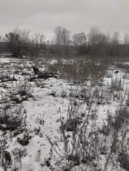 ��������� ������� ������ ���������, �������, ������� ���� 5