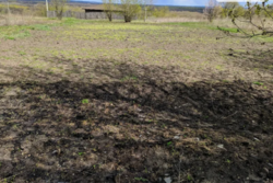 Продается участок Сумская, Сумы, Ковпаковский, ул. Довженко 51 фото 1 Продается участок Сумская, Сумы, Ковпаковский, ул. Довженко 51 фото 1