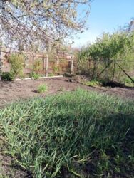 Дачный участок Олдыш фото 3 Дачный участок Олдыш фото 3