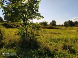 Продается участок Сумская, Сумы, Заречный, Восточная вул. фото 3 Продается участок Сумская, Сумы, Заречный, Восточная вул. фото 3