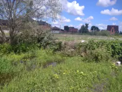 Продается участок Сумская, Сумы, Кринична вул. фото 1 Продается участок Сумская, Сумы, Кринична вул. фото 1