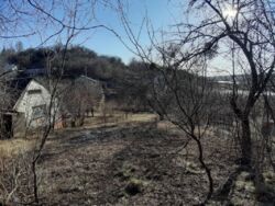 Дача с домиком Рыбхоз фото 7 Дача с домиком Рыбхоз фото 7