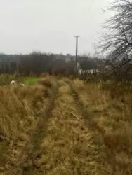 Продается участок Сумская, Сумы, СТ Барвінок фото 2 Продается участок Сумская, Сумы, СТ Барвінок фото 2