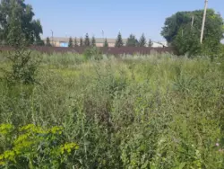 Продается участок Сумская, Сумы, Ковпаковский, Гайова р-н Роменської фото 5 Продается участок Сумская, Сумы, Ковпаковский, Гайова р-н Роменської фото 5