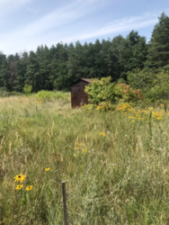 Продается участок Сумская, Сумский, Стецьковка фото 1 Продается участок Сумская, Сумский, Стецьковка фото 1