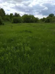 ��������� ������� ������������, �������, ������� ���� 3