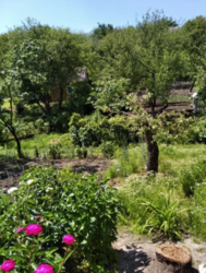 Продается участок Сумская, Сумы фото 10 Продается участок Сумская, Сумы фото 10