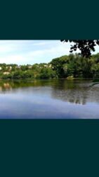 Продается участок Сумская, Сумский, Сад фото 3 Продается участок Сумская, Сумский, Сад фото 3