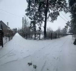 Продается участок Сумская, Сумский, Старое село, с/р Верхньосироватська / с/т Зірка фото 5 Продается участок Сумская, Сумский, Старое село, с/р Верхньосироватська / с/т Зірка фото 5