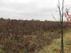 Продается участок Сумская, Сумы, Заречный, Козацький проспект фото 6 Продается участок Сумская, Сумы, Заречный, Козацький проспект фото 6