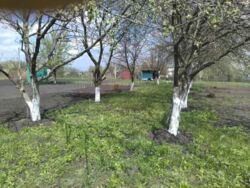 Продается участок Сумская, Сумы, Тополянська вул. фото 1 Продается участок Сумская, Сумы, Тополянська вул. фото 1