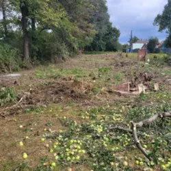 12 сот р-н Добровільної фото 3 12 сот р-н Добровільної фото 3