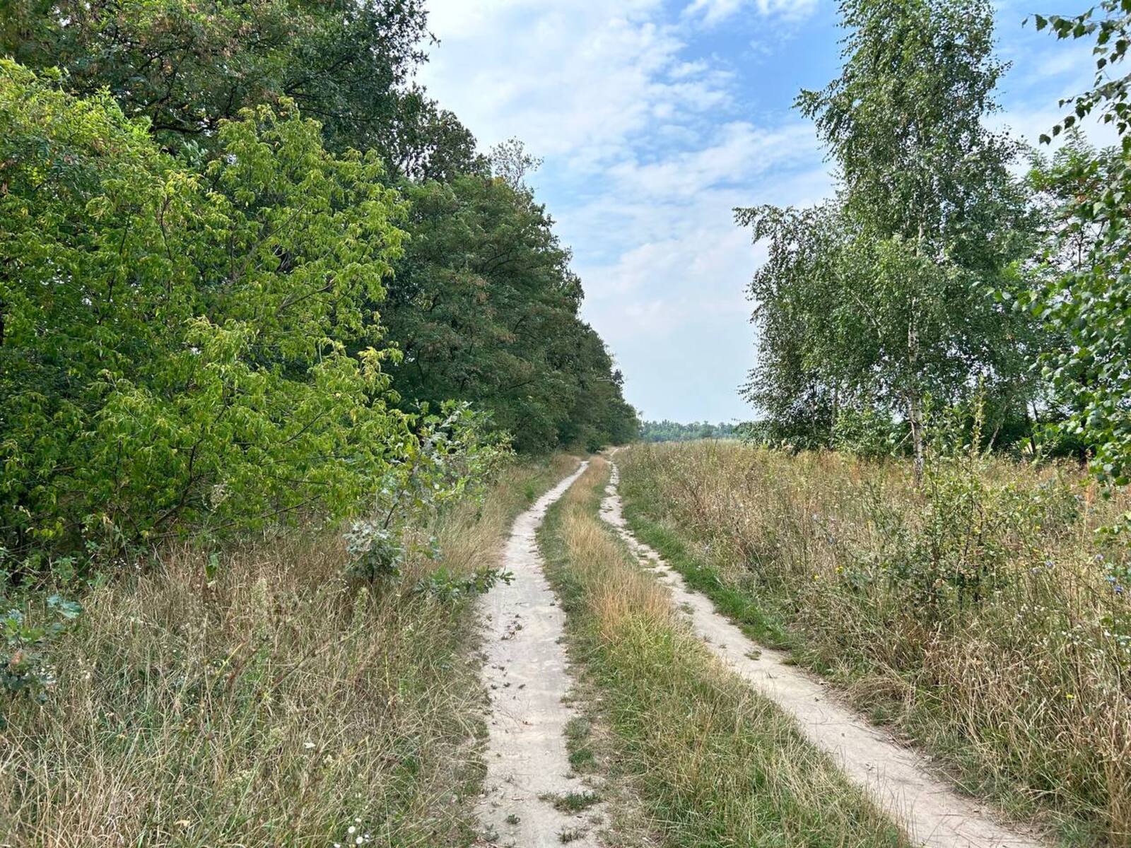 Продається земельна ділянка в селі Озера, Київської області фото 1 Продається земельна ділянка в селі Озера, Київської області фото 1